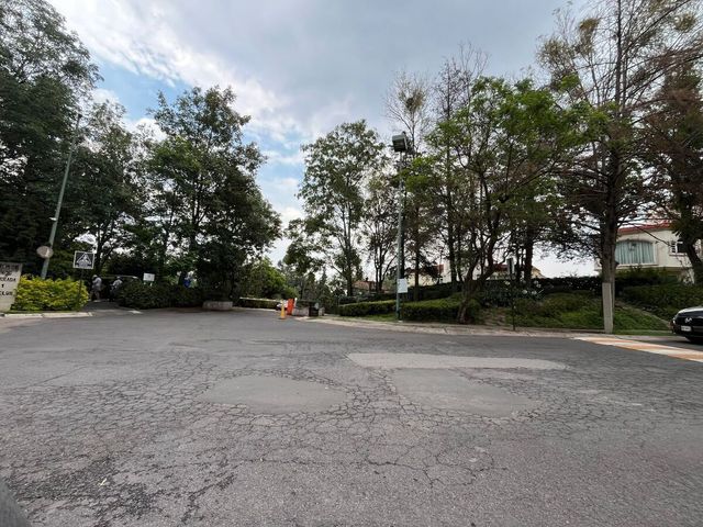 place photo 42