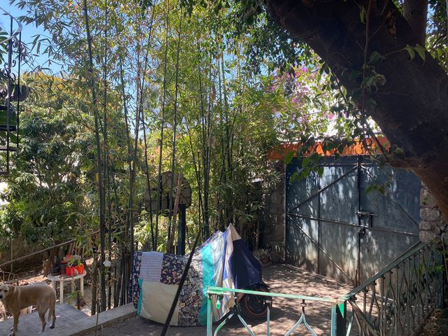 place photo 12
