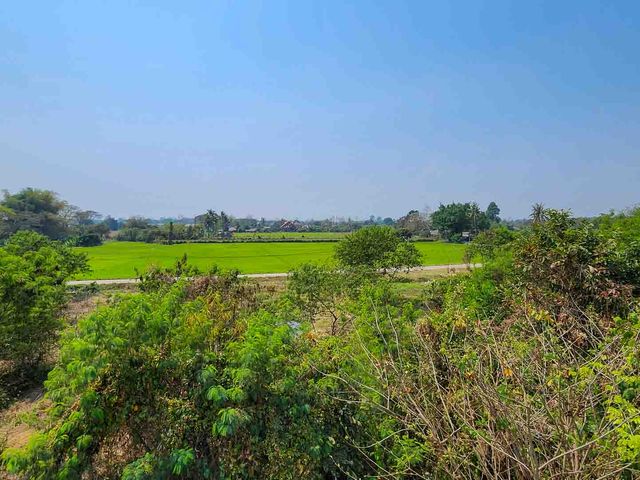 place photo 40