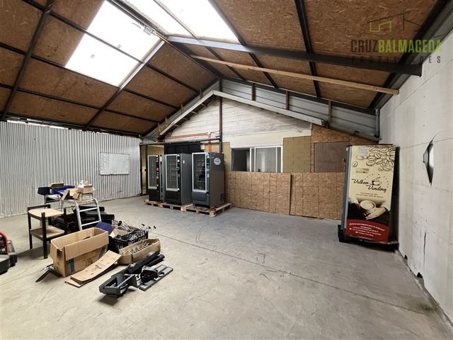 place photo 19