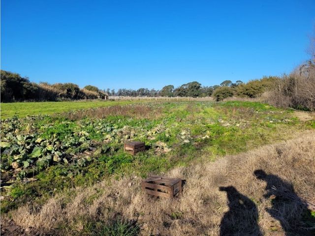 place photo 8