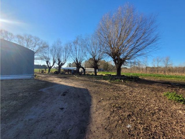 place photo 21