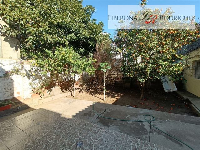 place photo 48