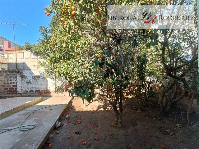 place photo 49
