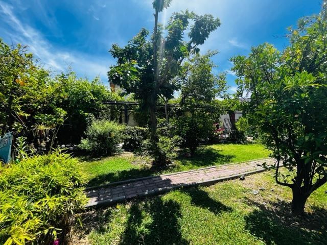 place photo 18