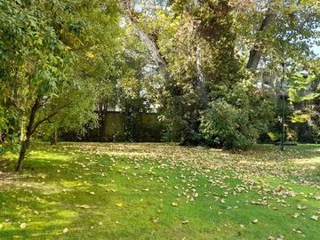 place photo 55