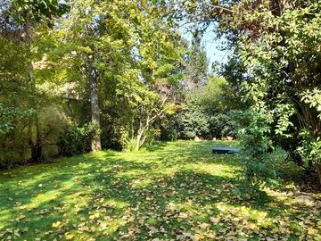 place photo 54