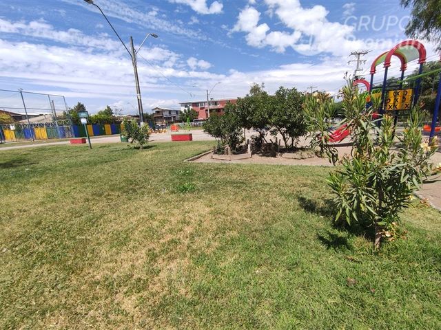 place photo 34
