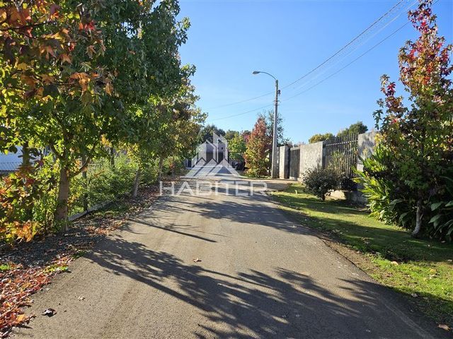 place photo 60