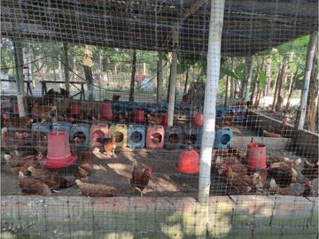 place photo 36