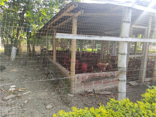 place photo 46
