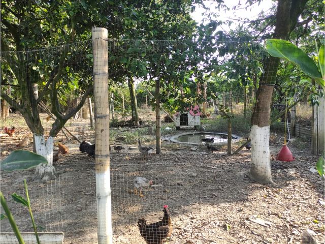 place photo 42