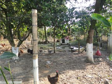 place photo 42