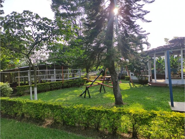 place photo 43