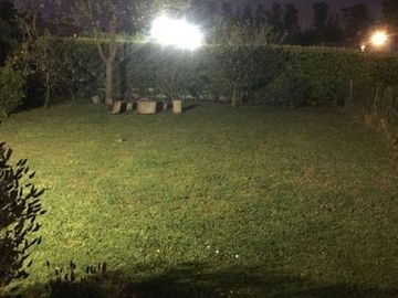 place photo 50