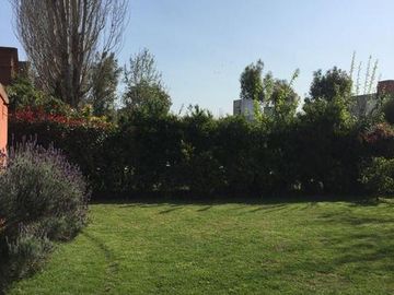 place photo 54