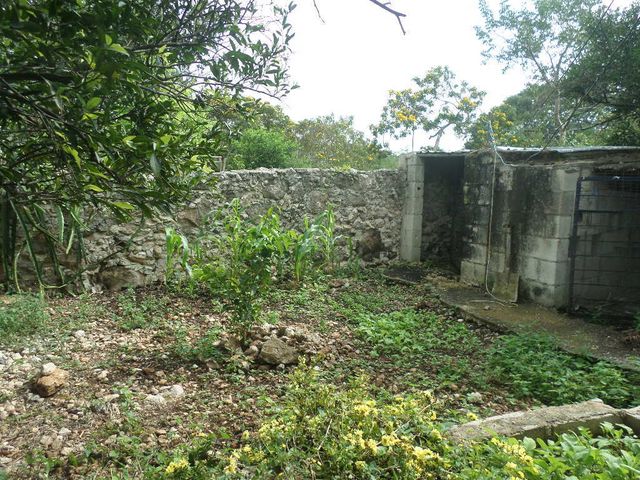 place photo 15