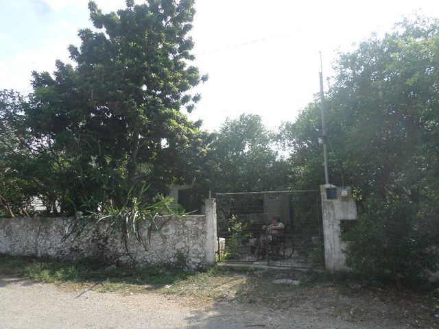 place photo 17