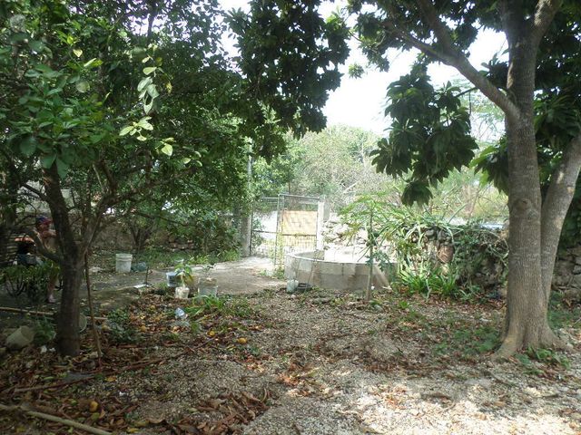 place photo 6