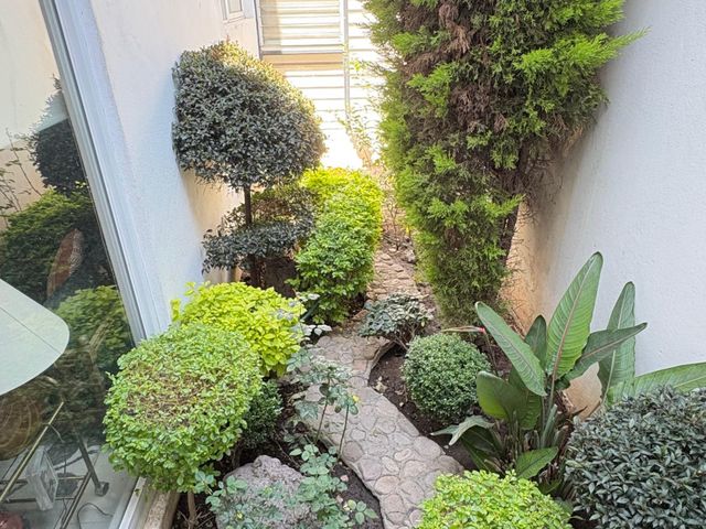 place photo 39