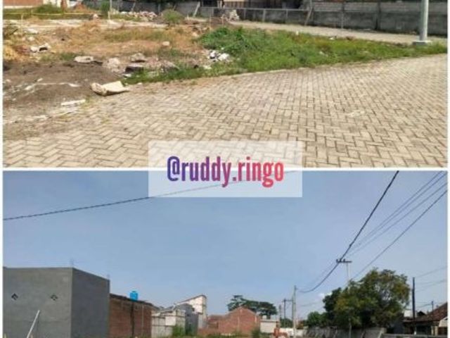 place photo 9