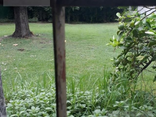 place photo 42