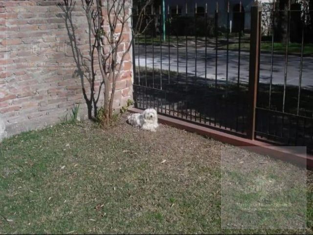 place photo 30