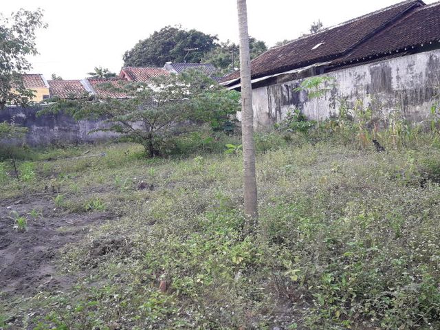 place photo 4