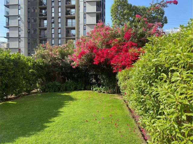 place photo 28