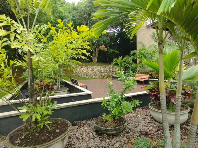 place photo 25