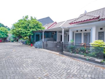 place photo 13