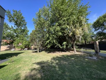 place photo 58