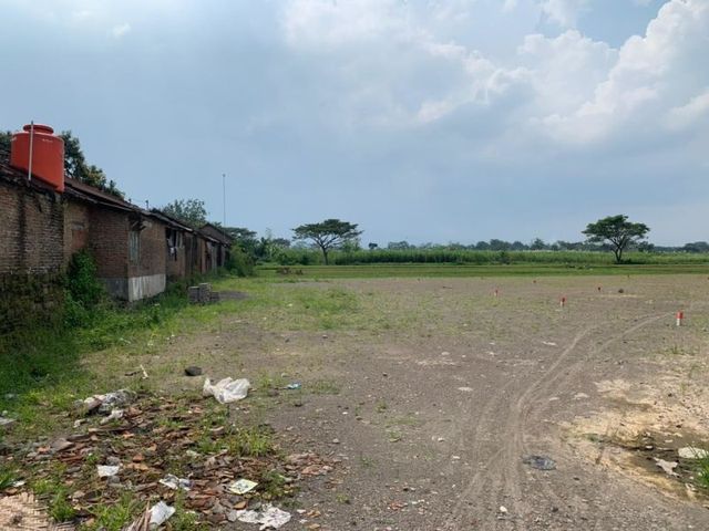 place photo 7