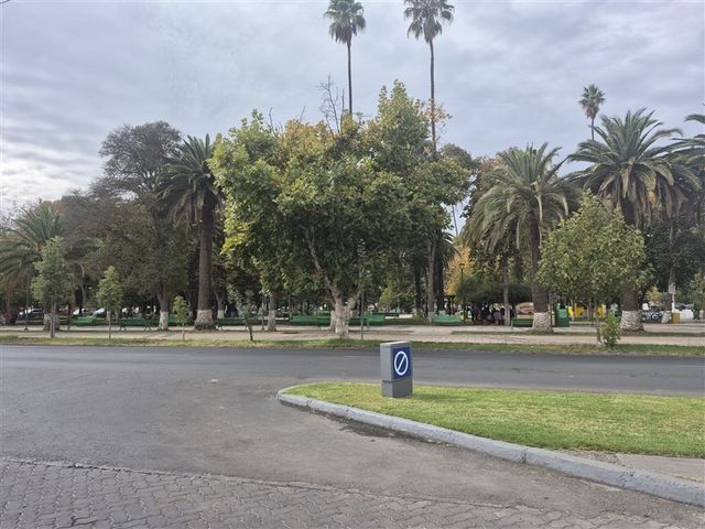 place photo 21