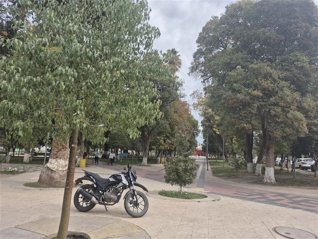 place photo 20