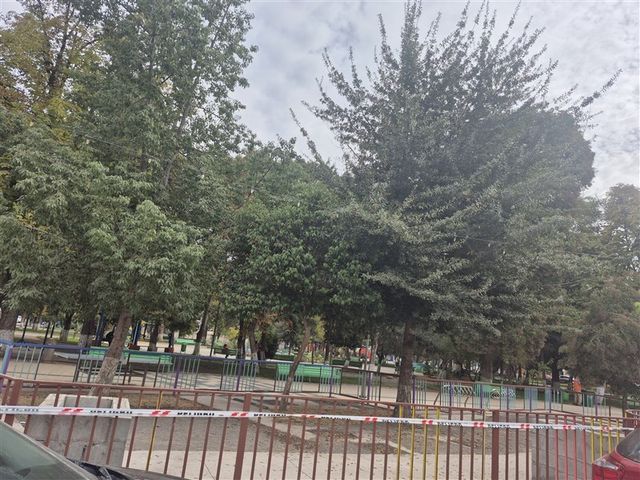 place photo 18