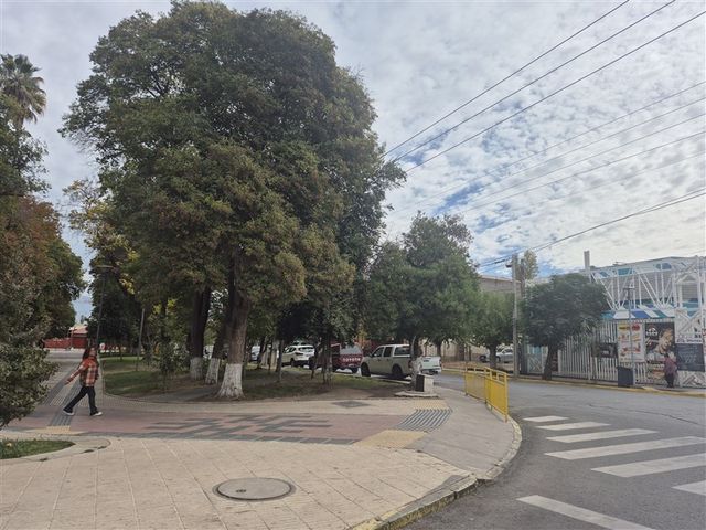 place photo 22