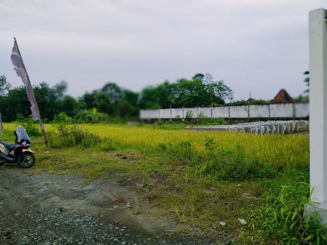 place photo 5