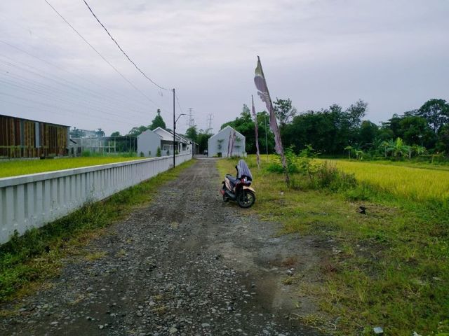 place photo 4