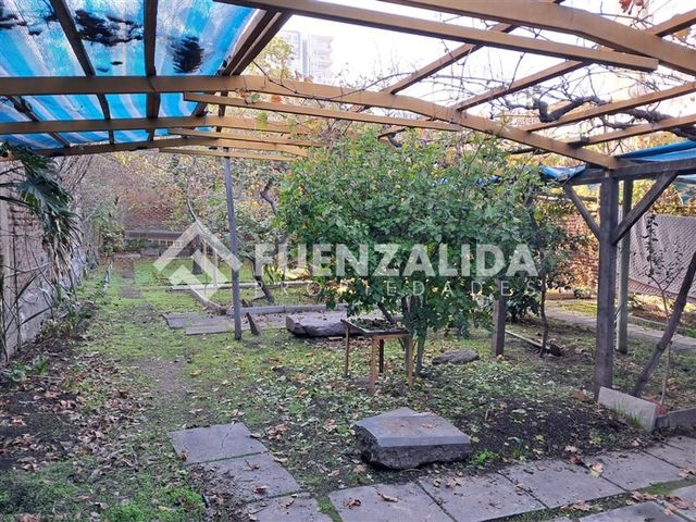 place photo 51