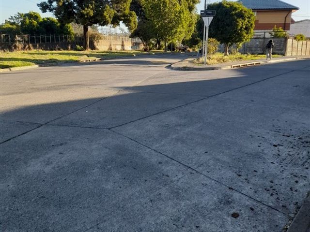 place photo 13