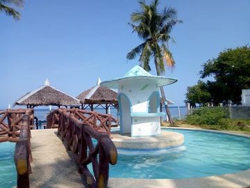 place photo 24