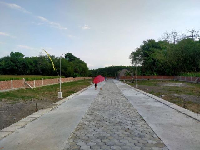 place photo 4