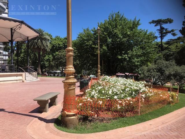 place photo 52