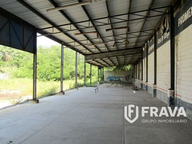 place photo 20