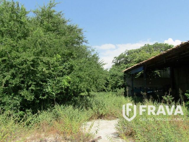 place photo 21
