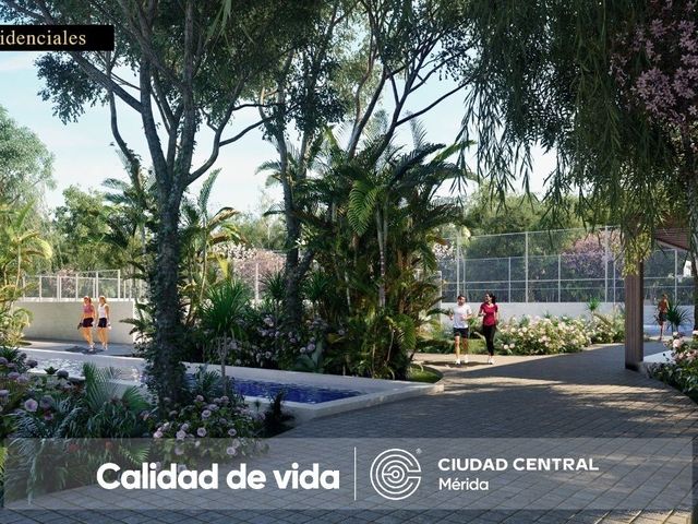 place photo 36