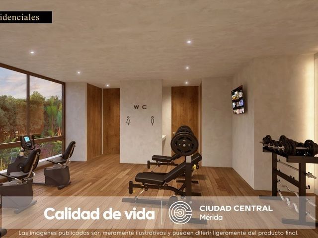 place photo 24