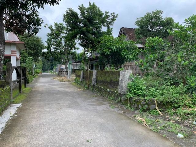 place photo 3