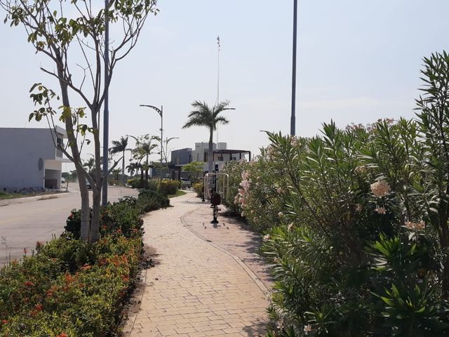 place photo 18
